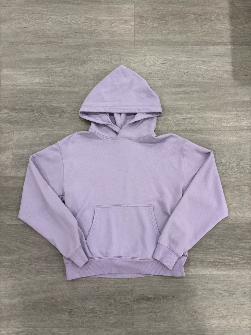 NEVER WORN LIMITED EDITION Aritzia TNA Lilac Pullover Hoodie